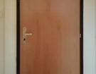 Bezpečnostní dveře do paneláku